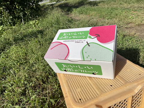 パリパリ食感★シャインマスカット３００ｇ～３５０ｇと自家製ラフランスジュースセット