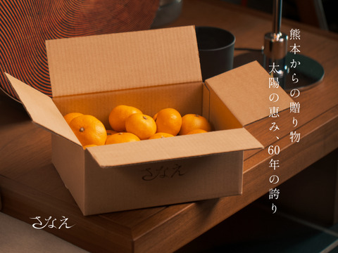 【大容量お得パック】20％OFF！さなえみかん 5kg（50個程度）