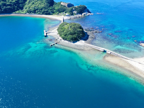 【ご家庭用】瀬戸内極早生みかん３ｋｇ 農薬不使用 自然栽培 愛媛県産