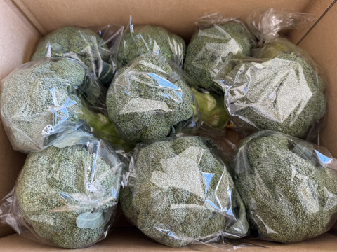 筋肉もりもり！ブロッコリー