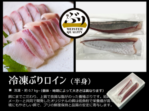 【鹿児島産ぶり】冷凍・ぶり皮無ロイン（背腹計2ｐ）