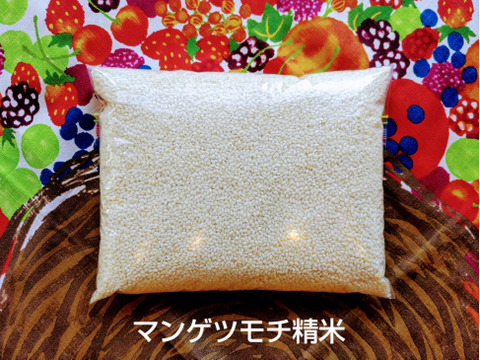 一等米【もち米 白米４ｋｇ（2kg×②袋）】特別栽培米マンゲツモチ【80】天然の資材、有機質肥料のみ・低農薬（80％以上削減）【令和7年新米】✨食べチョクAW2023✨米・穀類🥇１位受賞
