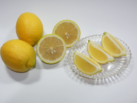 ぽん酢とセット！お試しに　皮まで使える瀬戸内レモン　約８個　M～Lサイズ
