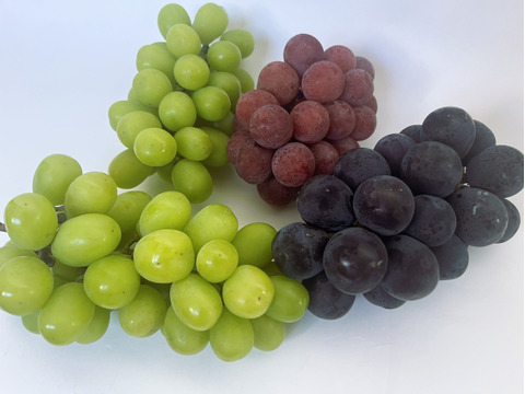 【数量限定BOX】ぶどう＆とうもろこしセット