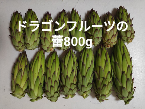ドラゴンフルーツの蕾　800g