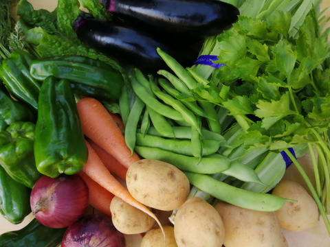 【今おいしいが詰まってる！】季節の野菜セット (春夏秋)