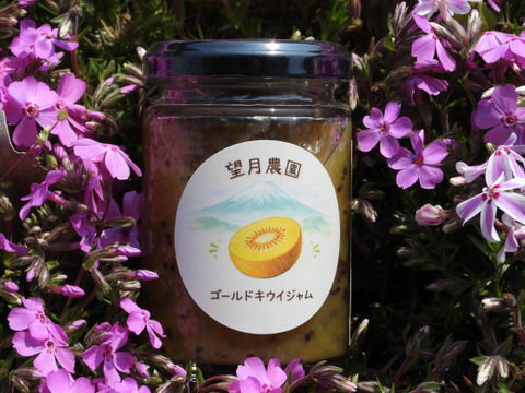 ゴールドキウイジャム（瓶詰品、内容量１４０ｇ）