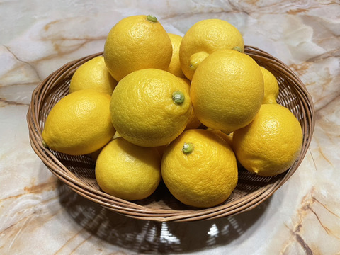 檸檬1キロ・デコポン1キロ