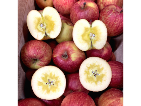 NO.1人気品種【サンふじ】家庭用3kg(7~12玉) りんごの名産地青森広船より