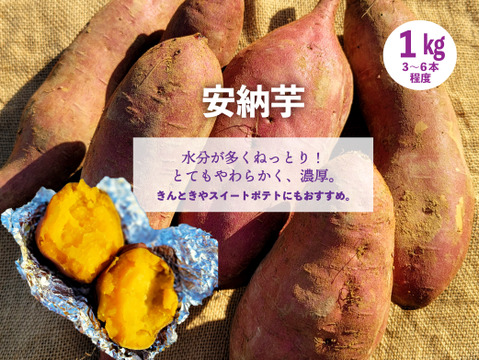 ねっとり濃厚！安納芋/シルクスイート食べ比べセット【有機JAS認証】2㎏