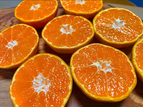 自然栽培 温州みかん尾崎B品 10kg🍊 見た目の良く無いものになります