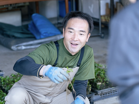 ピリ辛＆シャキシャキ食感！ホテルのサラダに使われている『わさび菜』1kg