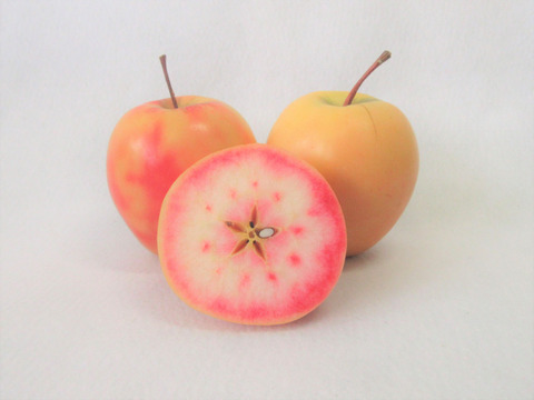 【超希少品種！】果肉まで赤～いりんご「御所川原（ごしょがわら）」B品不揃い（2.2kg強)