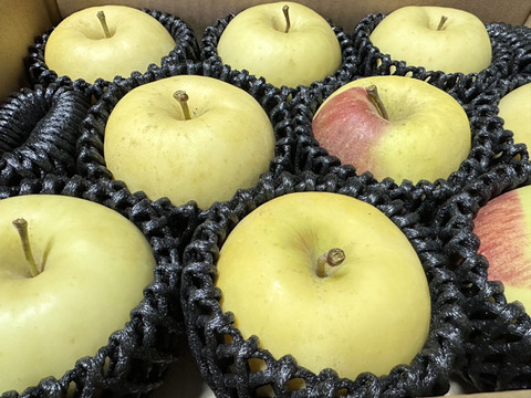 圧倒的存在感！超絶希少りんご「白ふじ」約3kg箱　8〜10玉