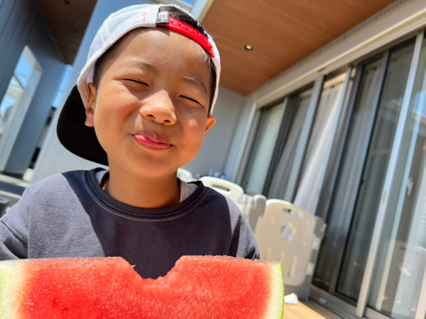 くまもと植木産🍉春スイカ(肥後漫遊)4月10日〜発送 | 1玉入り6〜8kg ギフト贈答用