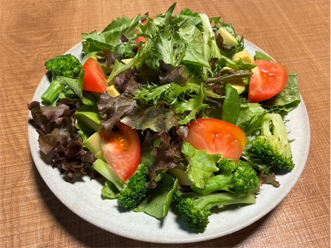 4〜5種類入り🌱UCHIPONIFARM 🐟丸かじりおすすめ‼️サラダセット🥗