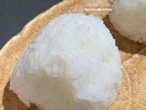 コメドッグアワードGOLD記念企画「令和７年三重県産特別栽培米コシヒカリ精米５ｋｇ」（簡易包装）