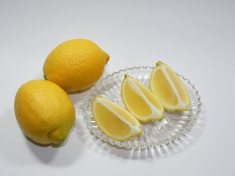 ぽん酢とセット！お試しに　皮まで使える瀬戸内レモン　約８個　M～Lサイズ