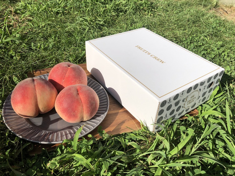 【果汁が弾ける初夏の宝石 日川白鳳】本場山梨の品種指定キャンペーン大容量パッケージ🍑朝どれジューシー桃☆贈答・ギフトにも最適🍑お試し約1㎏🍑6月中旬～発送開始
