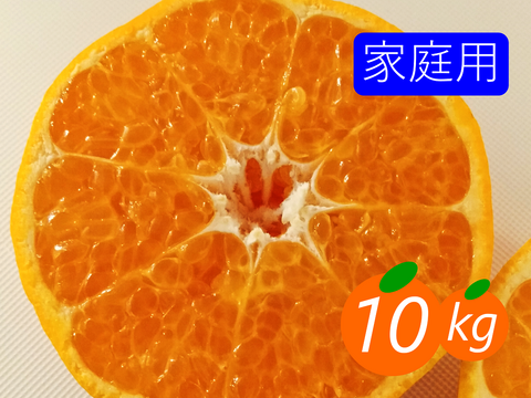 楽天市場】愛媛産 ぽんかん 10kg 訳あり・不揃い【送料無料(一部