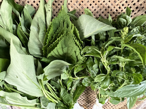 【7周年福袋】淡路島の夏をお届け！夏野菜詰め合わせ（10品）セット  77セット限定【77セット限定】