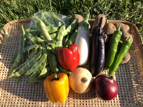 【北海道在来種】【貝豆】ささげ1kg + 季節の北海道野菜セット【平さやいんげん】【80サイズ】