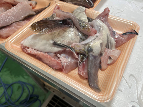 【今が旬！数量限定】　タラのあら汁用あら　(頭、カマ、ハラス)　約2ｋｇ