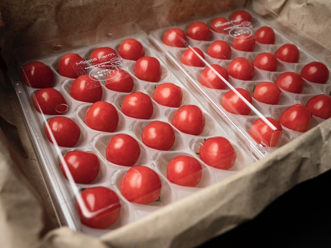 【金賞受賞】希少品種「プチぷよ」1箱40粒セット