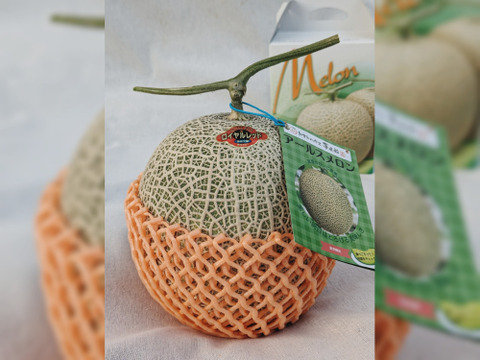 【ギフトにご褒美に！】アールスロイヤルメロン【夢風船直送赤肉アールスメロン】約2kg