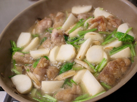 【受注収穫】四万十カブ「絹はだ美人」お試し１ｋｇ（２～３玉） 農薬不使用 自然栽培 四万十産