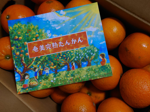 【2月限定】光センサー選果機で厳選！奄美完熟たんかん5kg