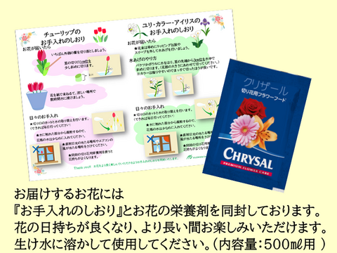 ボチューム満点！【6～7月収穫後順次発送】　新潟県産ユリ切り花　10本　ピンク色　簡易包装　※北海道・沖縄配送不可※