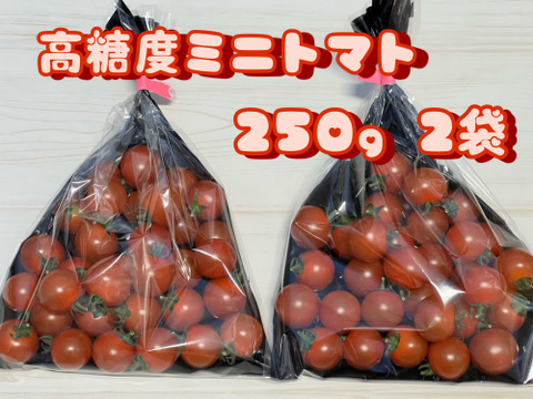 お試し！【パクッとおやつ感覚】糖度9度以上 フルーツ ミニトマト 250g 2袋
