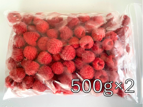 【高級ジャム店にも納品】冷凍ラズベリー（ホール）1㎏【国産ラズベリー】【秋田県産ラズベリー】