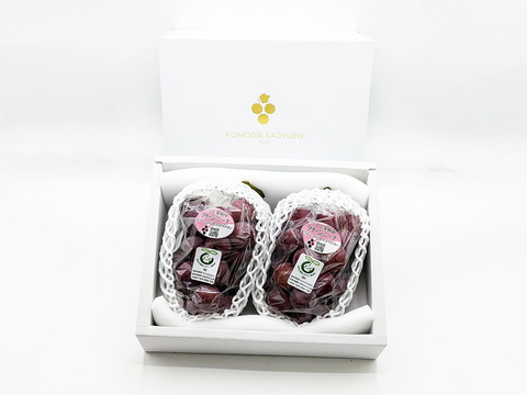 紅の芳醇【プレミアム贈答】クイーンニーナ約500g×2房 （合計約1kg）長野県認証/特別栽培同基準（信州の環境にやさしい農産物認証50）【冬ギフト】