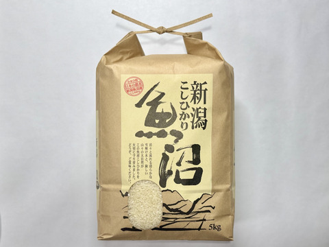 R7年産新米予約】南魚沼産コシヒカリ 5kg（精米）：新潟県産の