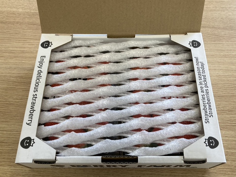 香り豊か！有機いちご「あまおとめ」500g