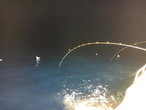 【最も魚にやさしい一本釣り漁】で水揚げしたサワラ中心の鮮魚セット（3～5キロ入）
