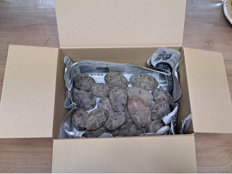 ホクホクなのに粘質感も！深い甘みのジャガイモ「タワラマゼラン」2Kg【栽培期間中農薬、化学肥料不使用】