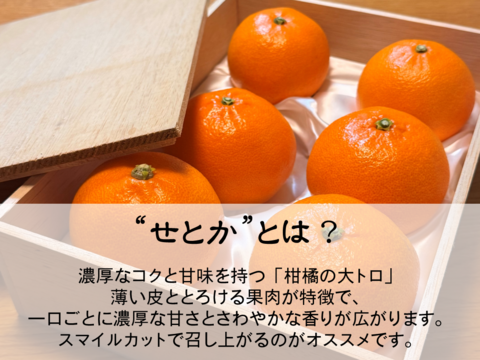 【注いだら最後、止まらない】福みかんジュース+せとかジュース｜愛媛・西宇和産