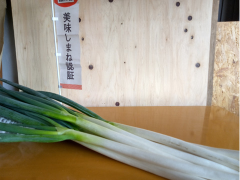 今年のご縁に感謝！『浄善寺ねぎ　２㎏　』であったまろう！しっかり太りました。