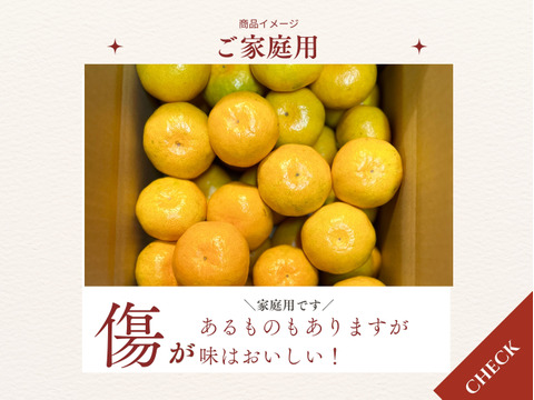 ゆにゆら 購入前にプロフ読んでください！専用 ゆら プロフィール一読下さい ゆら プロフィール一読下さい