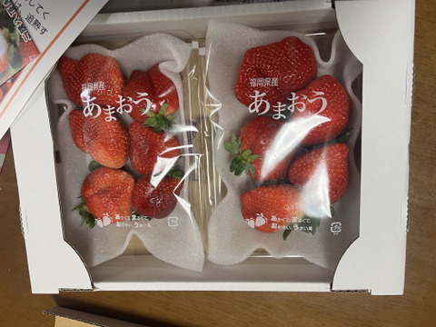 【朝市限定】形いろいろ「福岡産いちご」完熟あまおう！5玉〜15玉（2パック）(日時指定可能)