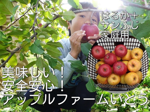 サンふじ＋はるか　家庭用　1.8～1.9キロ【小玉】JA基準より60％減の低農薬栽培　【りんご食べ比べ】