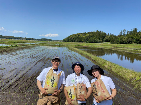 ≪夏ギフト≫冷めても美味しい★令和2年産多古米こしひかり(10㎏)