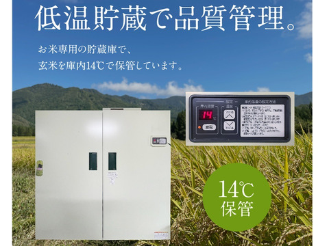便利 で 鮮度 長持ち! 令和6年度 無洗米 山形県産 便利 で 鮮度 長持ち! 令和6年度 無洗米 山形県産