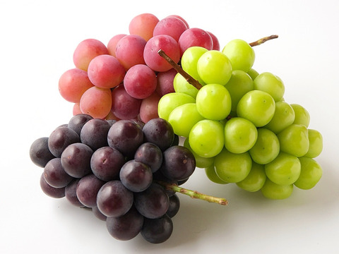 【樹上完熟】粒ぶどう３種食べ比べ詰め合わせセット 農薬不使用 自然栽培 四万十産