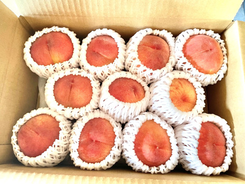 桃　あかつき　小玉　約2kg 数量限定