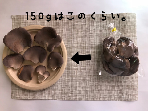 【うま味と食感に感動！】信州中野産　肉厚・黒あわび茸（20袋）
