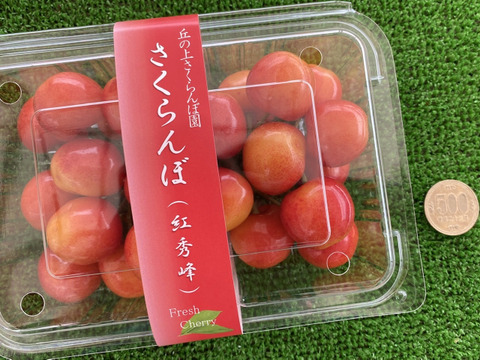 『紅秀峰』高級品種　甘くて大きなさくらんぼ🍒ジューシーで食べ応えあるギフトにも人気な品種です❗️